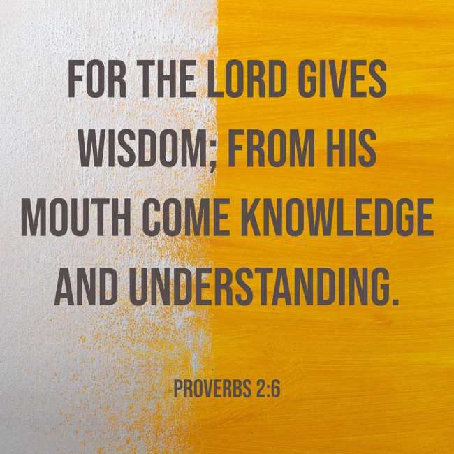 For the LORD gives wisdom; from his mouth come knowledge and understanding. - Proverbs 2:6