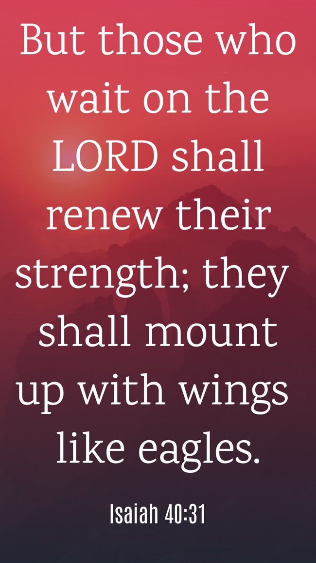 But those who wait on the LORD shall renew their strength; they shall mount up with wings like eagles. - Isaiah 40:31