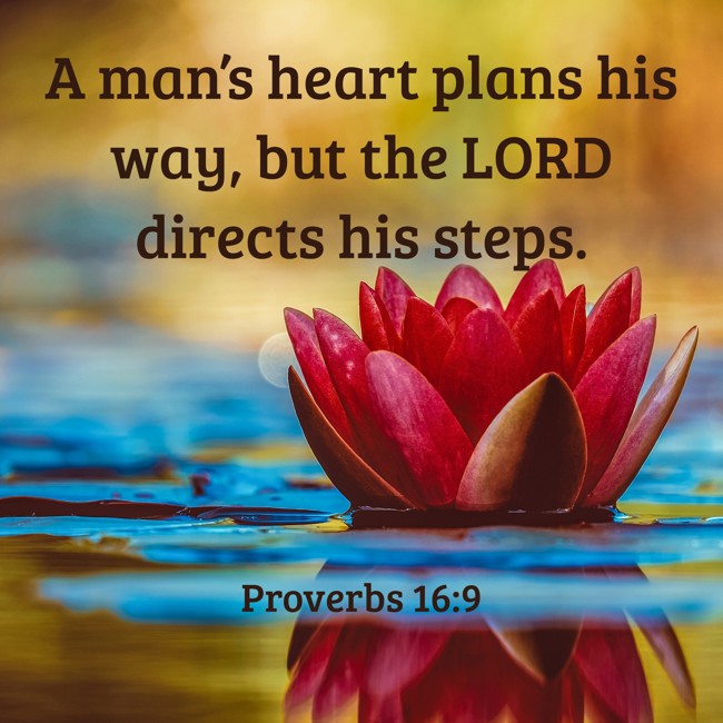 A man’s heart plans his way, but the LORD directs his steps. - Proverbs 16:9