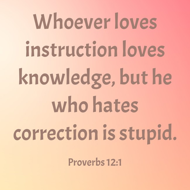 Whoever loves instruction loves knowledge, but he who hates correction is stupid. - Proverbs 12:1