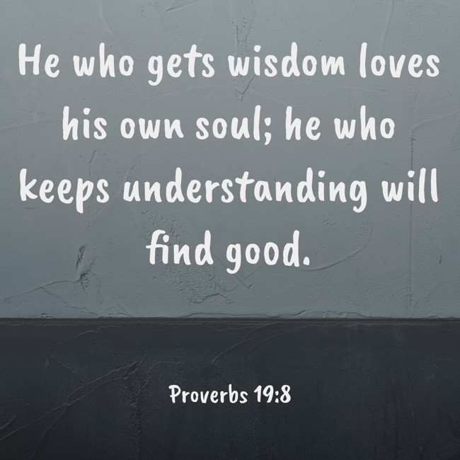 He who gets wisdom loves his own soul; he who keeps understanding will find good. - Proverbs 19:8