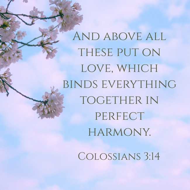 And above all these put on love, which binds everything together in perfect harmony. - Colossians 3:14