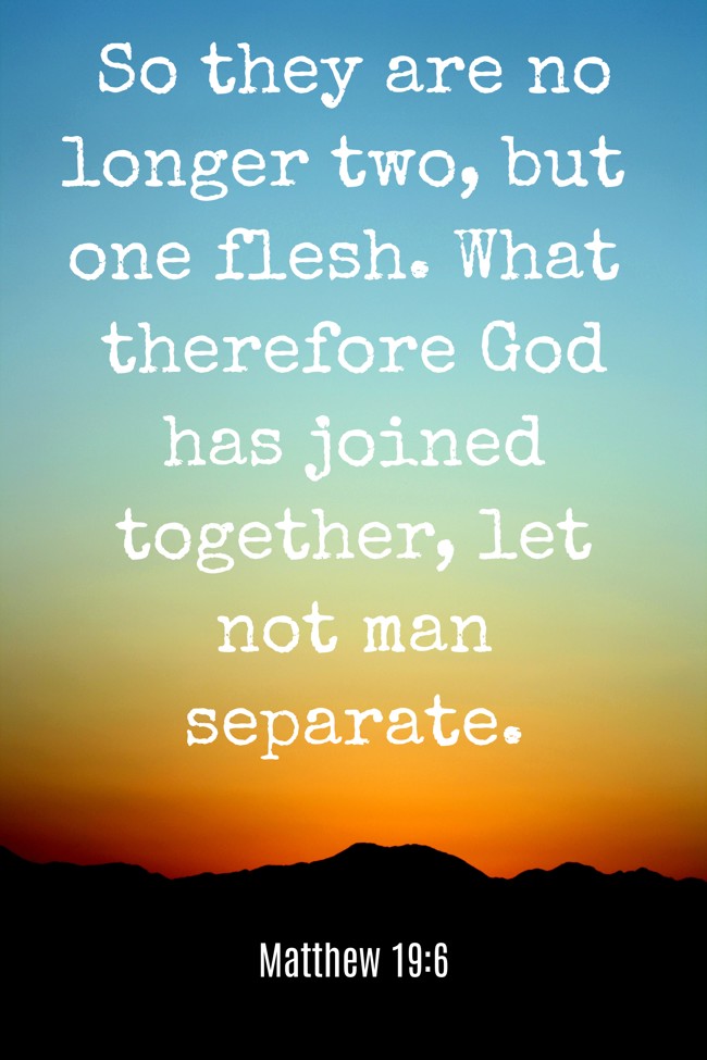 So they are no longer two, but one flesh. What therefore God has joined together, let not man separate. - Matthew 19:6