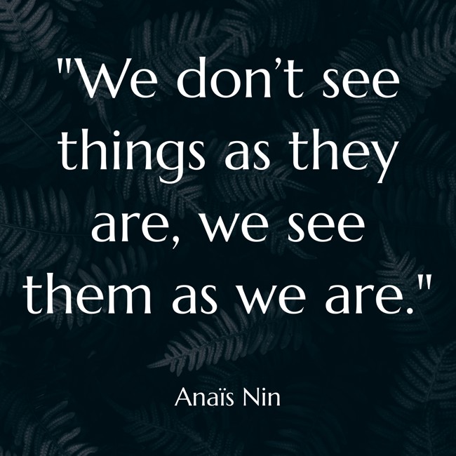 We don’t see things as they are, we see them as we are. - Anaïs Nin