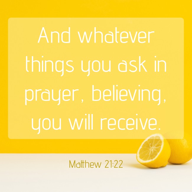 And whatever things you ask in prayer, believing, you will receive. - Matthew 21:22