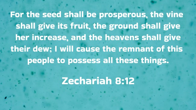 For the seed shall be prosperous, the vine shall give its fruit, the ground shall give her increase, and the heavens shall give their dew; I will cause the remnant of this people to possess all these things. - Zechariah 8:12