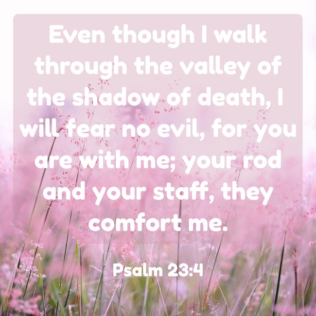 Even though I walk through the valley of the shadow of death, I will fear no evil, for you are with me; your rod and your staff, they comfort me. - Psalm 23:4