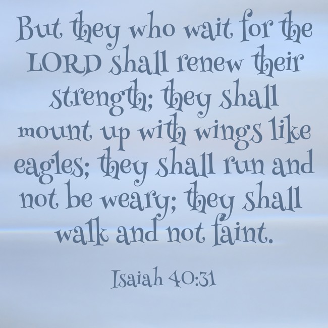 But they who wait for the LORD shall renew their strength; they shall mount up with wings like eagles; they shall run and not be weary; they shall walk and not faint. - Isaiah 40:31