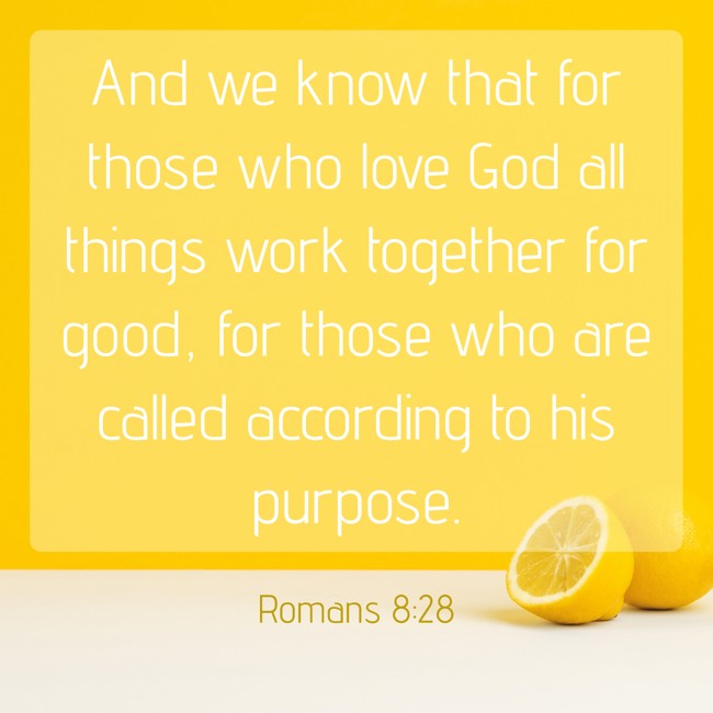 And we know that for those who love God all things work together for good, for those who are called according to his purpose. - Romans 8:28
