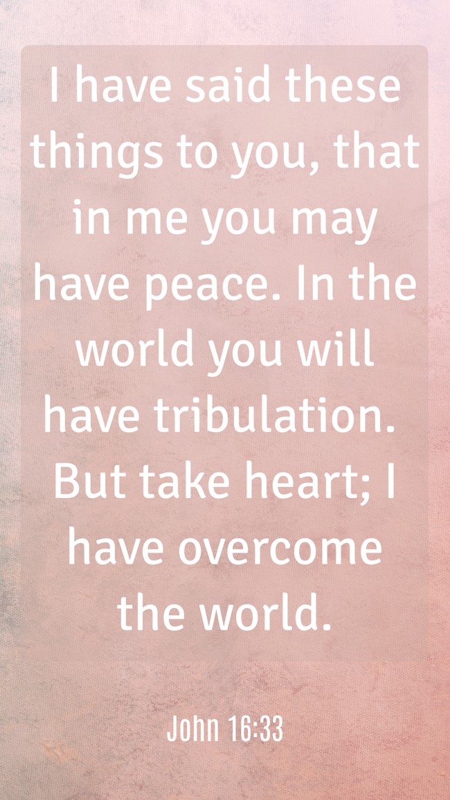 I have said these things to you, that in me you may have peace. In the world you will have tribulation. But take heart; I have overcome the world. - John 16:33