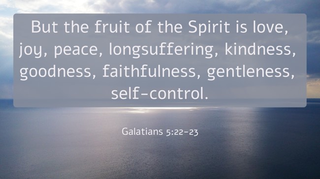 But the fruit of the Spirit is love, joy, peace, longsuffering, kindness, goodness, faithfulness, gentleness, self-control. - Galatians 5:22-23