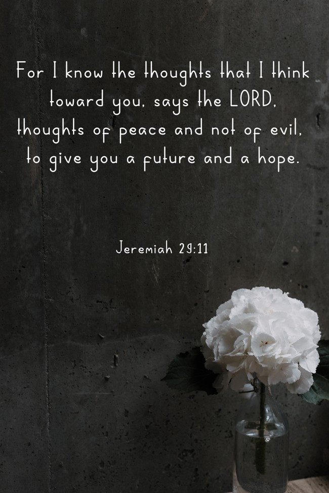  For I know the thoughts that I think toward you, says the LORD, thoughts of peace and not of evil, to give you a future and a hope.   - Jeremiah 29:11 