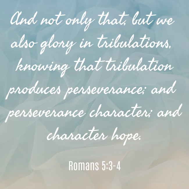  And not only that, but we also glory in tribulations, knowing that tribulation produces perseverance; and perseverance character; and character hope.   - Romans 5:3-4 