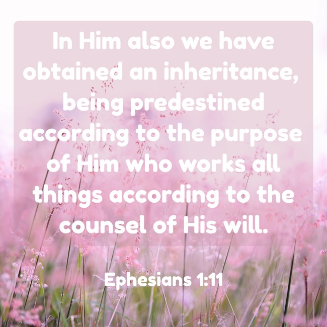  In Him also we have obtained an inheritance, being predestined according to the purpose of Him who works all things according to the counsel of His will.   - Ephesians 1:11 