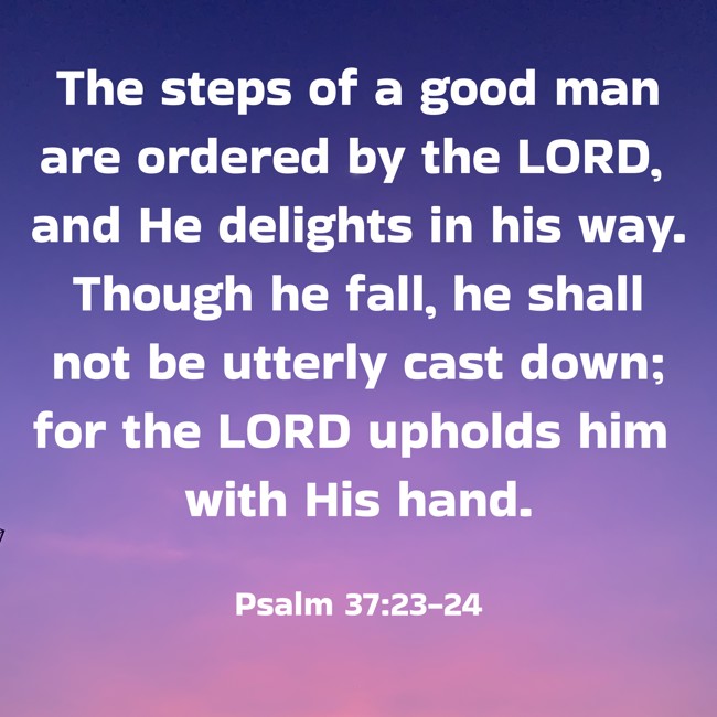  The steps of a good man are ordered by the LORD, and He delights in his way. Though he fall, he shall not be utterly cast down; for the LORD upholds him with His hand.   - Psalm 37:23-24 