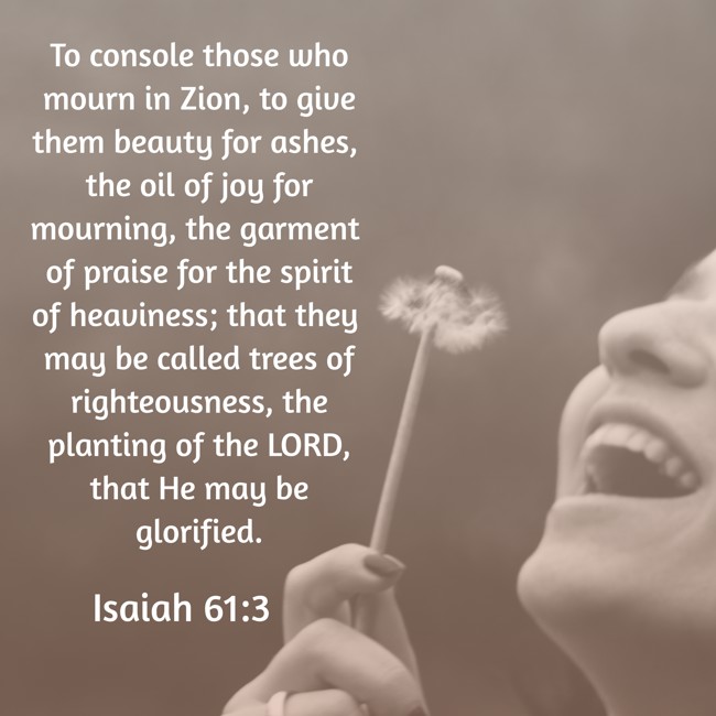  To console those who mourn in Zion, to give them beauty for ashes, the oil of joy for mourning, the garment of praise for the spirit of heaviness; that they may be called trees of righteousness, the planting of the LORD, that He may be glorified.   - Isaiah 61:3 