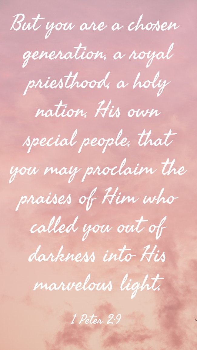 But you are a chosen generation, a royal priesthood, a holy nation, His own special people, that you may proclaim the praises of Him who called you out of darkness into His marvelous light. - 1 Peter 2:9