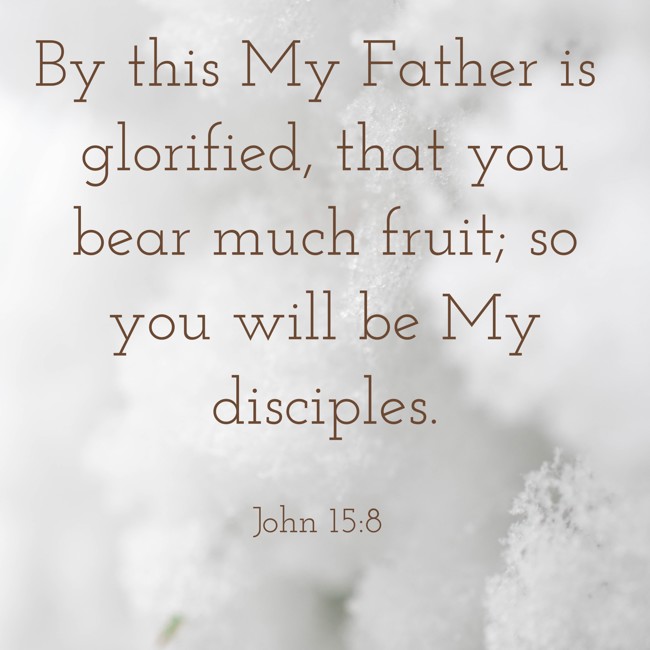 By this My Father is glorified, that you bear much fruit; so you will be My disciples. - John 15:8