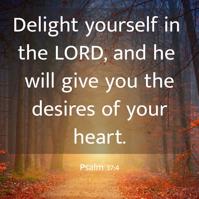 Delight yourself in the LORD, and he will give you the desires of your heart. - Psalm 37:4