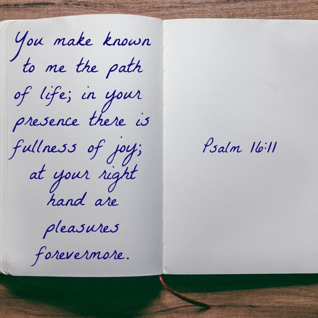 You make known to me the path of life; in your presence there is fullness of joy; at your right hand are pleasures forevermore. - Psalm 16:11