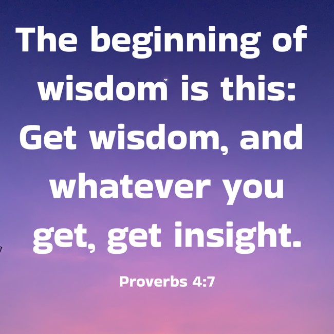 The beginning of wisdom is this: Get wisdom, and whatever you get, get insight. - Proverbs 4:7