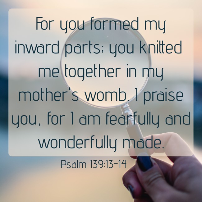 For you formed my inward parts; you knitted me together in my mother's womb. I praise you, for I am fearfully and wonderfully made. - Psalm 139:13-14