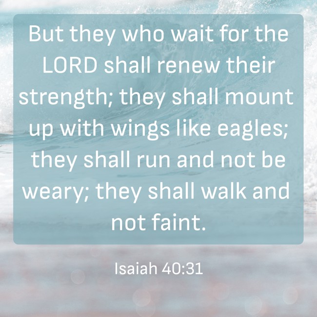 But they who wait for the LORD shall renew their strength; they shall mount up with wings like eagles; they shall run and not be weary; they shall walk and not faint. - Isaiah 40:31