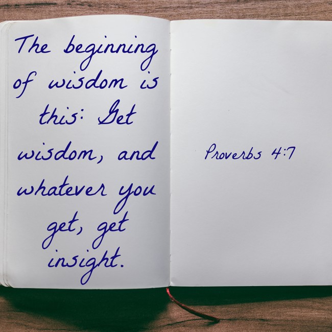 The beginning of wisdom is this: Get wisdom, and whatever you get, get insight. - Proverbs 4:7