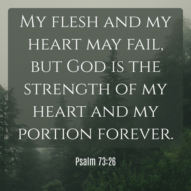  My flesh and my heart may fail, but God is the strength of my heart and my portion forever.   - Psalm 73:26 