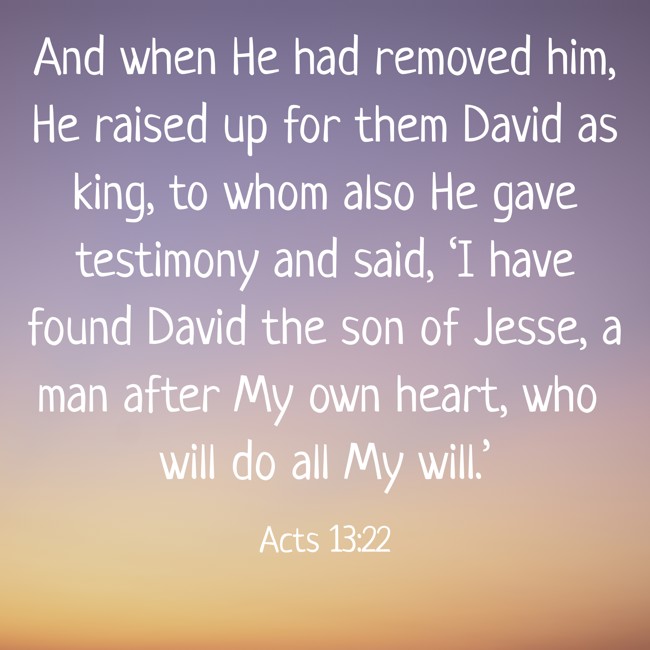 And when He had removed him, He raised up for them David as king, to whom also He gave testimony and said, ‘I have found David the son of Jesse, a man after My own heart, who will do all My will.’ - Acts 13:22