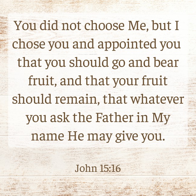 You did not choose Me, but I chose you and appointed you that you should go and bear fruit, and that your fruit should remain, that whatever you ask the Father in My name He may give you. - John 15:16