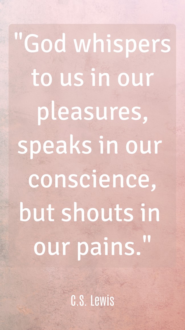God whispers to us in our pleasures, speaks in our conscience, but shouts in our pains. - C.S. Lewis
