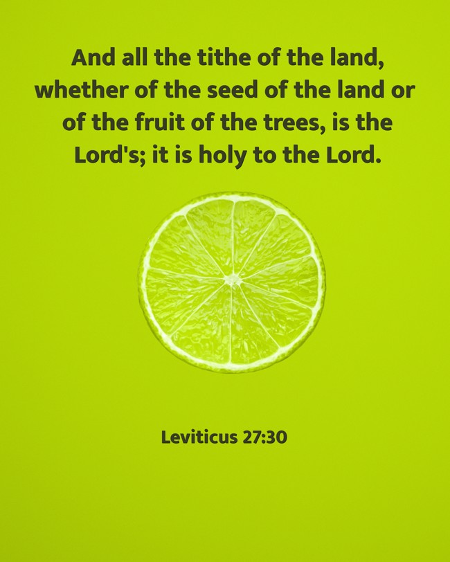 And all the tithe of the land, whether of the seed of the land or of the fruit of the trees, is the Lord's; it is holy to the Lord.   - Leviticus 27:30 