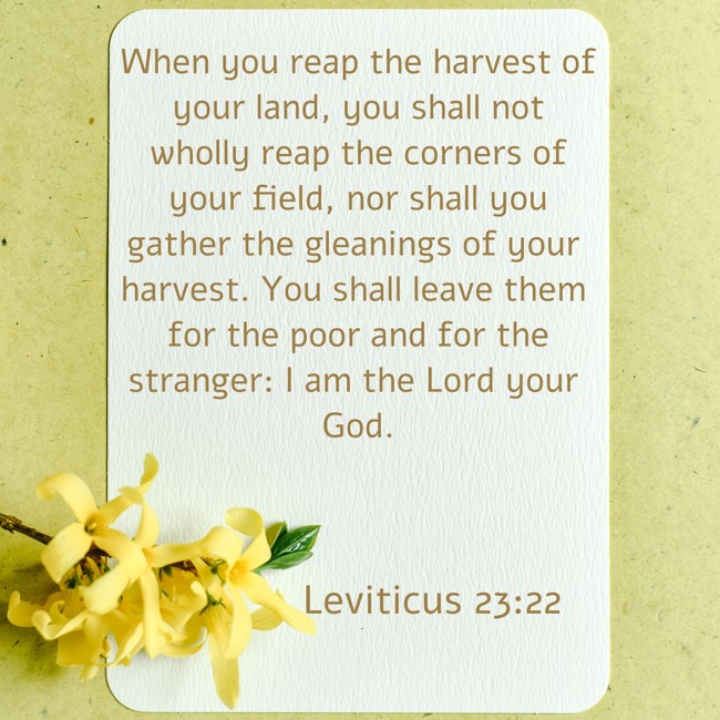  When you reap the harvest of your land, you shall not wholly reap the corners of your field, nor shall you gather the gleanings of your harvest. You shall leave them for the poor and for the stranger: I am the Lord your God.   - Leviticus 23:22 