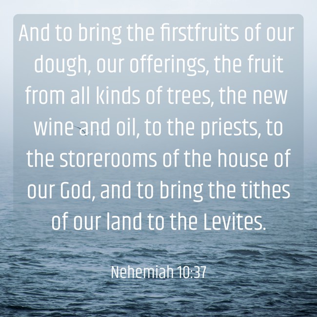  And to bring the firstfruits of our dough, our offerings, the fruit from all kinds of trees, the new wine and oil, to the priests, to the storerooms of the house of our God, and to bring the tithes of our land to the Levites.   - Nehemiah 10:37 