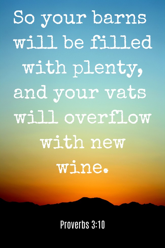  So your barns will be filled with plenty, and your vats will overflow with new wine. - Proverbs 3:10 
