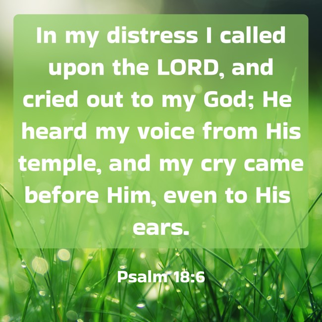 In my distress I called upon the LORD, and cried out to my God; He heard my voice from His temple, and my cry came before Him, even to His ears. - Psalm 18:6
