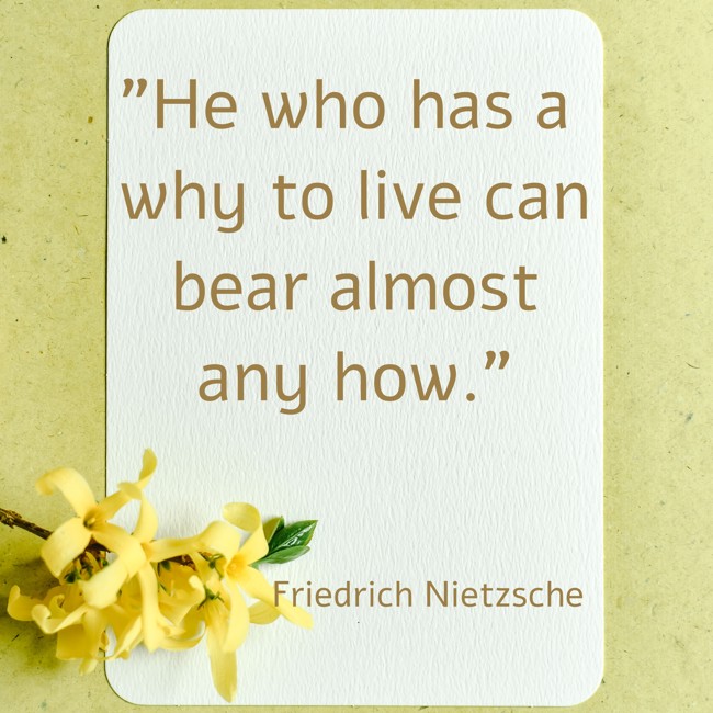He who has a why to live can bear almost any how. - Friedrich Nietzsche