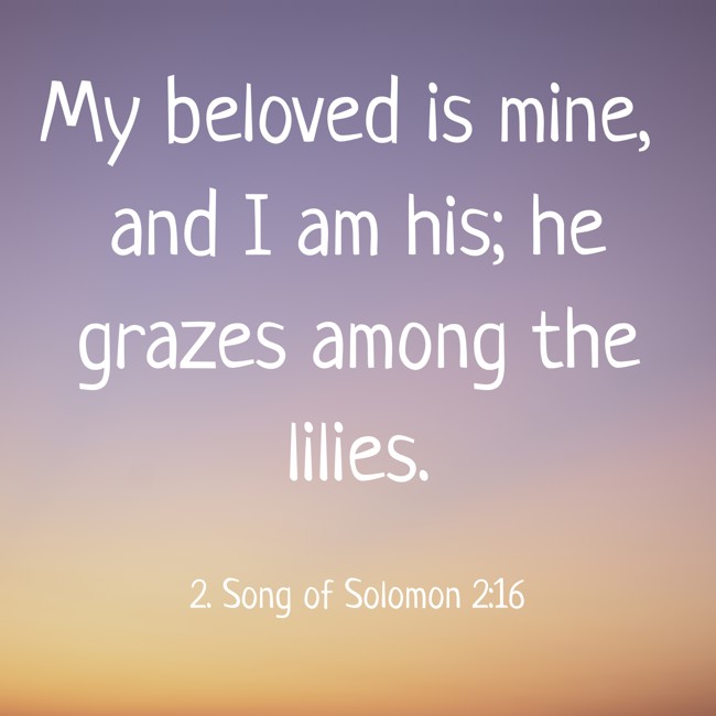 My beloved is mine, and I am his; he grazes among the lilies. - 2. Song of Solomon 2:16