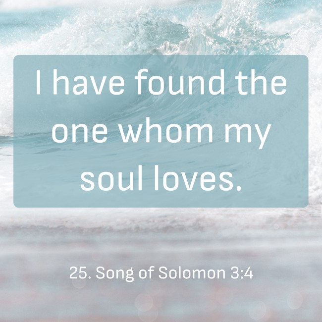I have found the one whom my soul loves. - 25. Song of Solomon 3:4