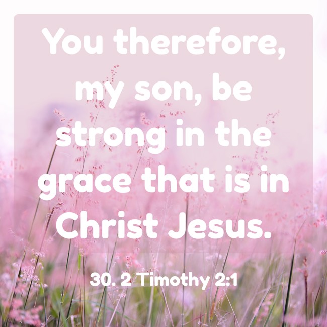 You therefore, my son, be strong in the grace that is in Christ Jesus. - 30. 2 Timothy 2:1