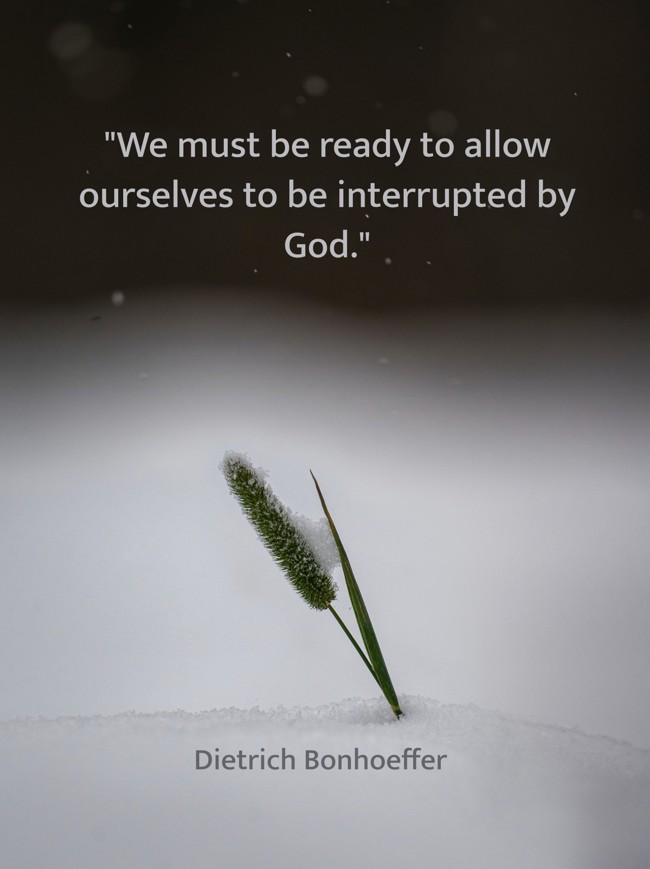 We must be ready to allow ourselves to be interrupted by God. - Dietrich Bonhoeffer