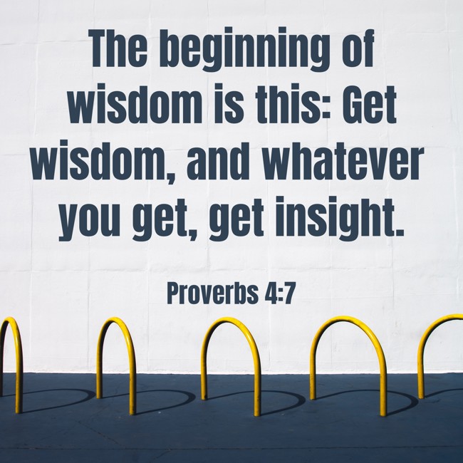 The beginning of wisdom is this: Get wisdom, and whatever you get, get insight. - Proverbs 4:7
