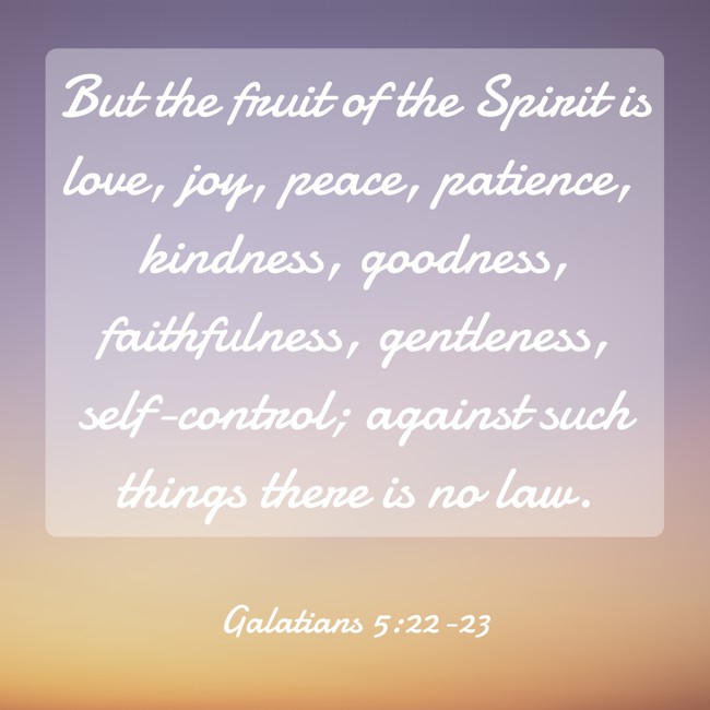 But the fruit of the Spirit is love, joy, peace, patience, kindness, goodness, faithfulness, gentleness, self-control; against such things there is no law. - Galatians 5:22-23