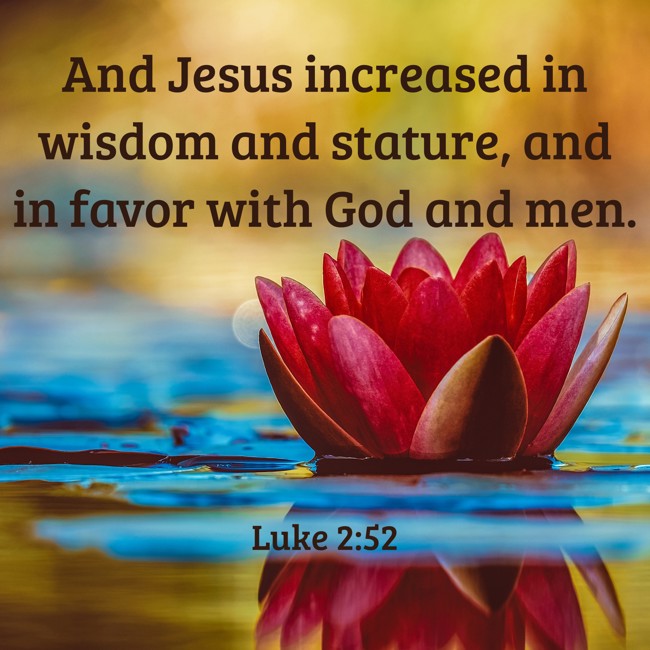 And Jesus increased in wisdom and stature, and in favor with God and men. - Luke 2:52