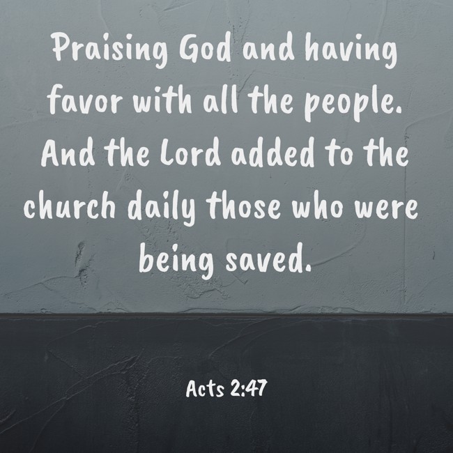 Praising God and having favor with all the people. And the Lord added to the church daily those who were being saved. - Acts 2:47