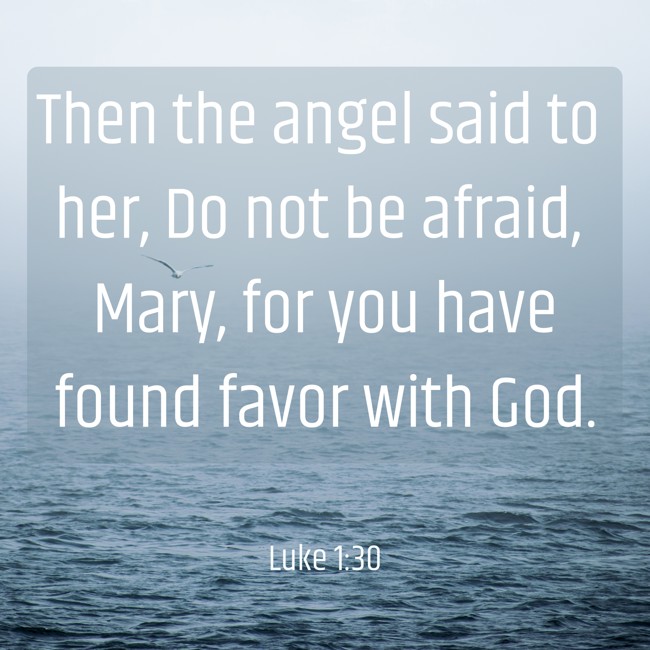 Then the angel said to her, Do not be afraid, Mary, for you have found favor with God. - Luke 1:30