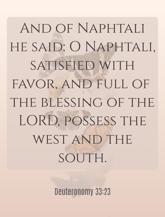 And of Naphtali he said: O Naphtali, satisfied with favor, and full of the blessing of the LORD, possess the west and the south. - Deuteronomy 33:23