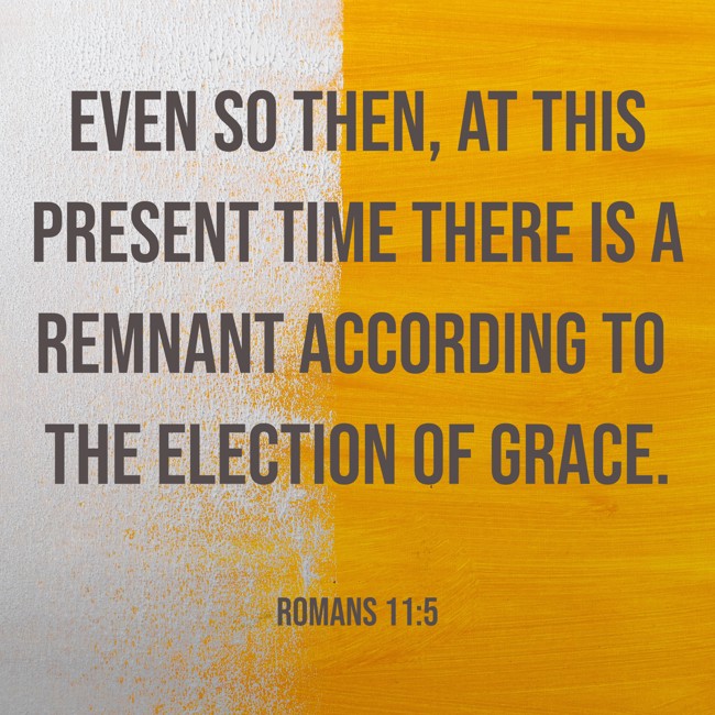 Even so then, at this present time there is a remnant according to the election of grace. - Romans 11:5