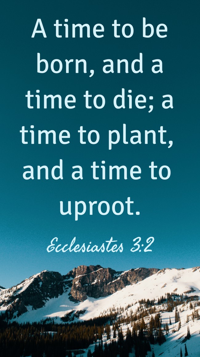  A time to be born, and a time to die; a time to plant, and a time to uproot.   - Ecclesiastes 3:2 